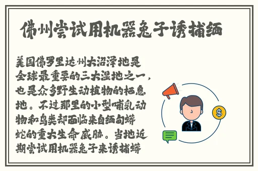 日本教师和hiphop老师的区别